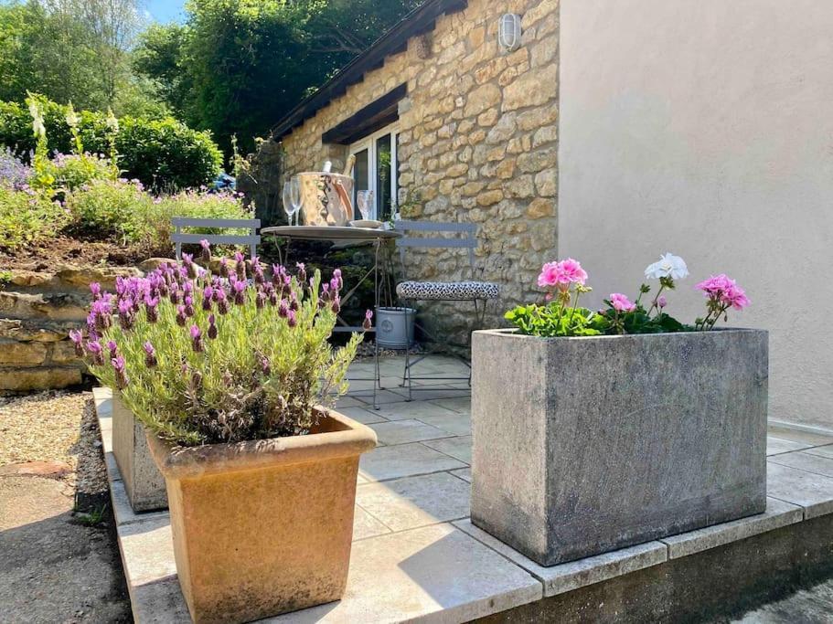 Little Innsacre Bridport Extérieur photo